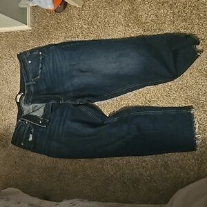 Maurices Jeans Size 20